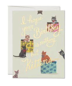 GIFTS RED CAP NOTHING BUT KITTENS CARD