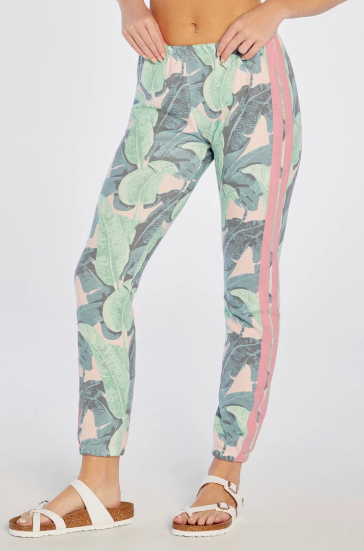 WILDFOX MARTINIQUE KNOX PANTS NEW ARRIVALS 4 WILDFOX MARTINIQUE KNOX PANTS NEW ARRIVALS