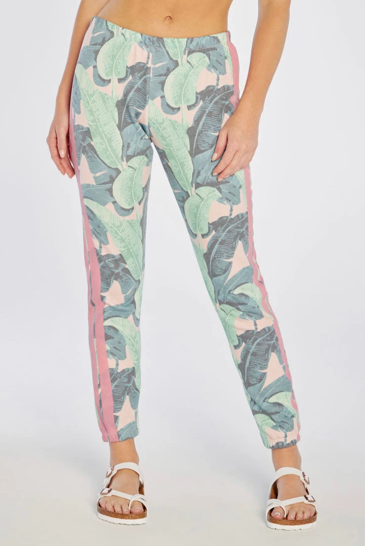 WILDFOX MARTINIQUE KNOX PANTS NEW ARRIVALS 6 WILDFOX MARTINIQUE KNOX PANTS NEW ARRIVALS
