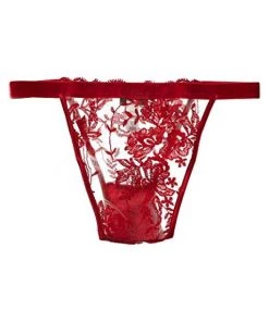 LINGERIE & SLEEPWEAR COSABELLA ROSIE VELVET MINKINI
