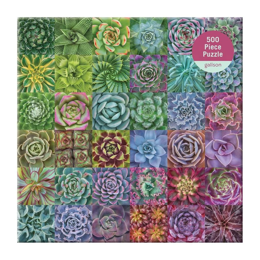 GALISON SUCCULENT PUZZLE 4 GALISON SUCCULENT PUZZLE