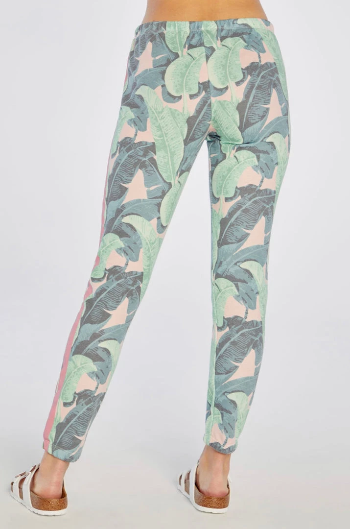 WILDFOX MARTINIQUE KNOX PANTS NEW ARRIVALS 5 WILDFOX MARTINIQUE KNOX PANTS NEW ARRIVALS